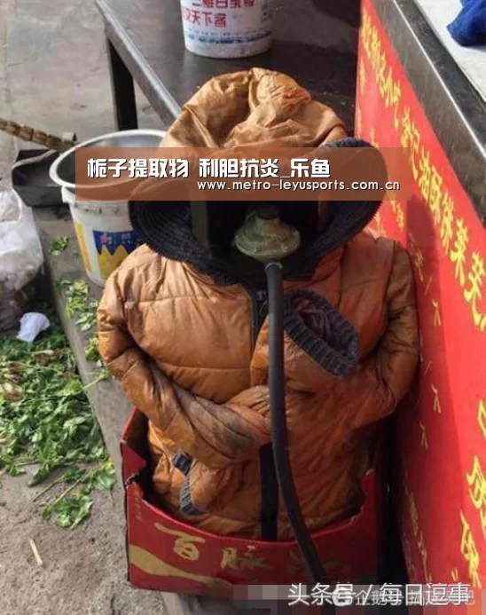 乐鱼