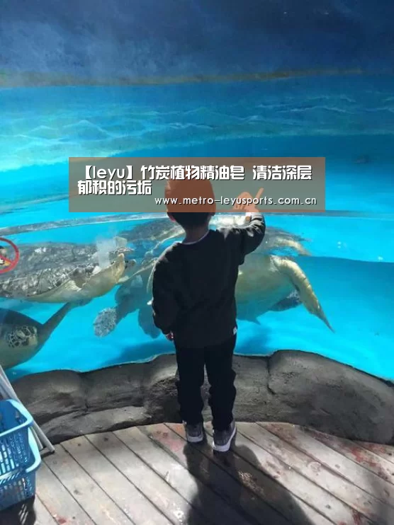 【leyu】竹炭植物精油皂 清洁深层郁积的污垢